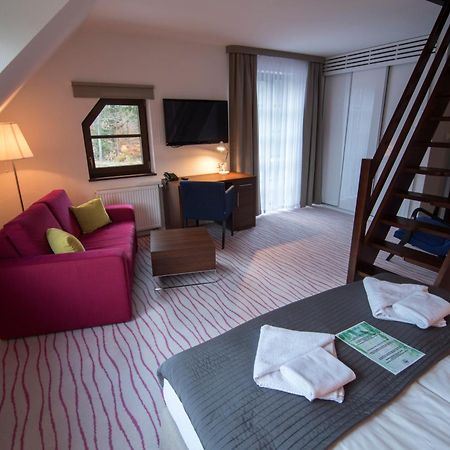 Aparthotel Flinski Sport & Spa Świeradów-Zdrój Δωμάτιο φωτογραφία