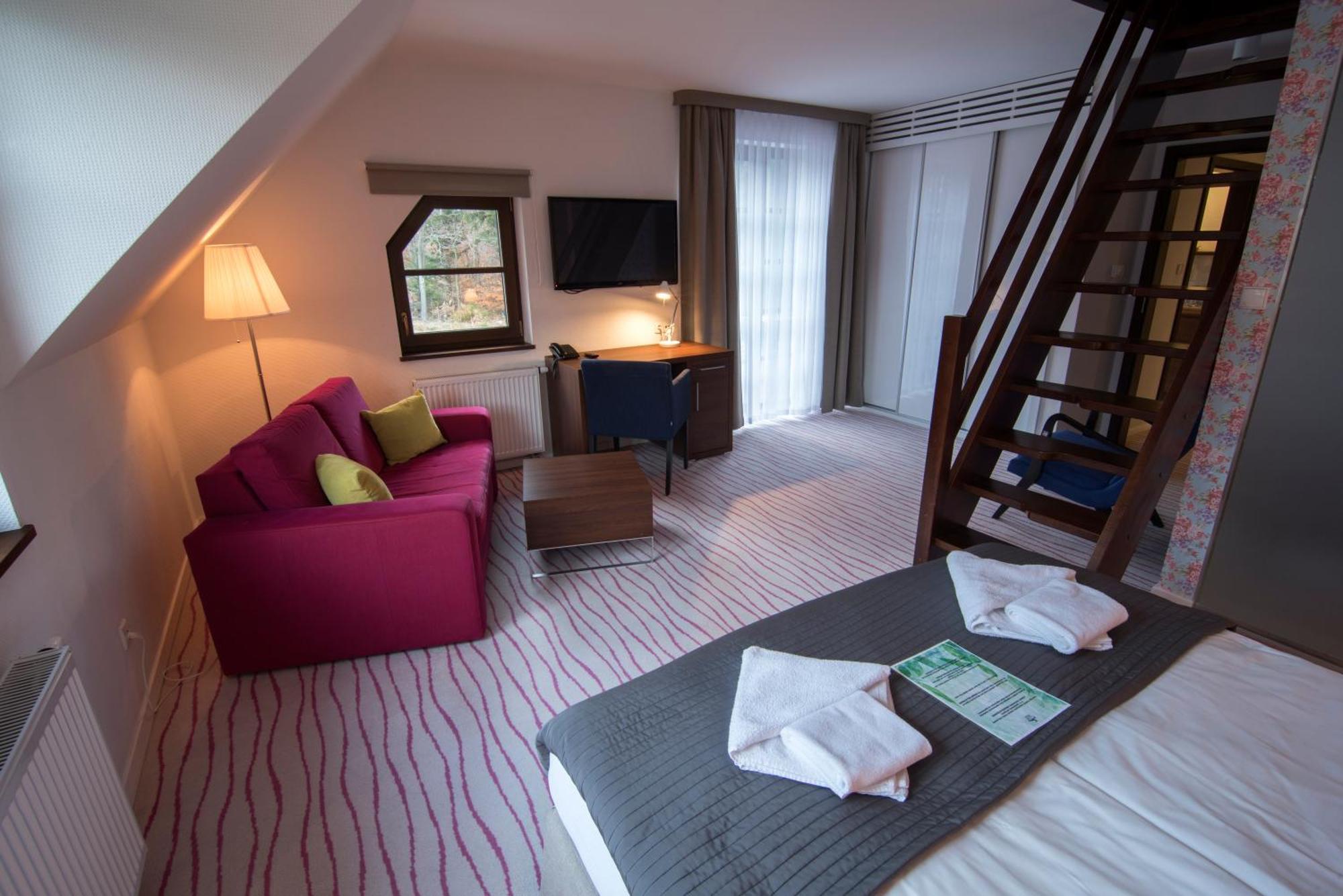 Aparthotel Flinski Sport & Spa Świeradów-Zdrój Δωμάτιο φωτογραφία
